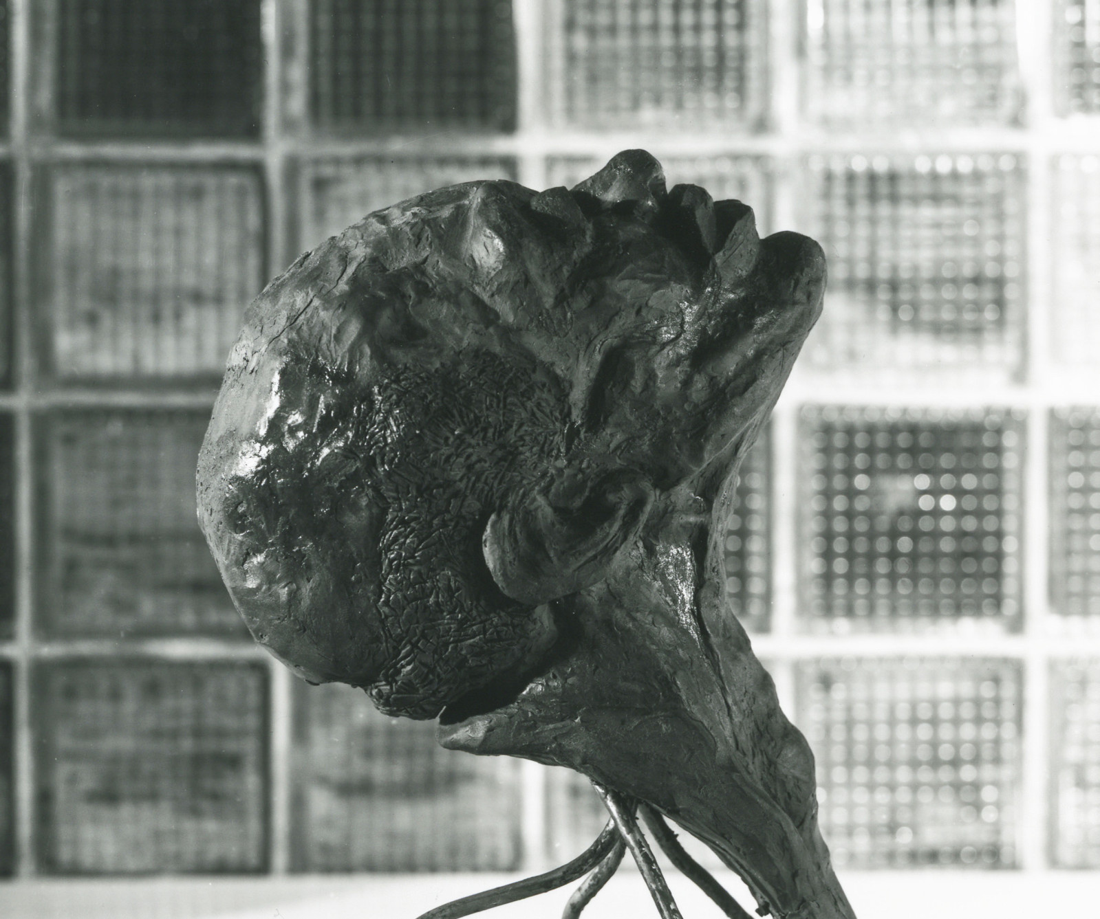 {category_image_alt}